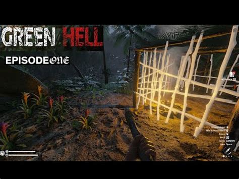  Green Hell - Can You Survive the Amazon's Cruel Embrace?